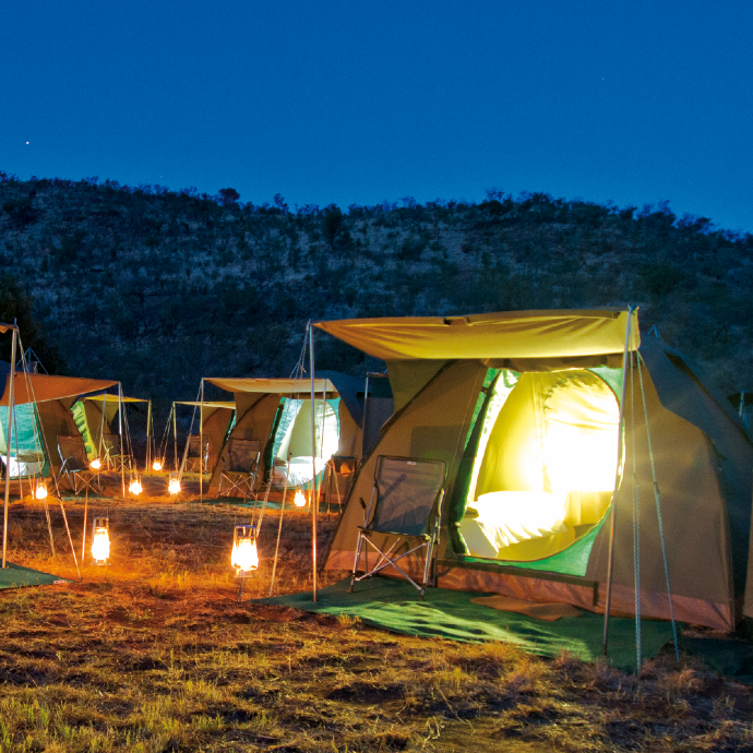 Safaris plongée