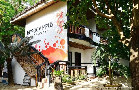 1-Hippocampus-Beach-and-dive-resort-Malapascua