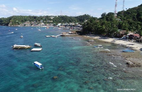 1.1_C6Bo-plongee-philippines-puerto-galera-resort-beach-aerial-view-bangka