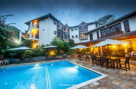 1.1_c6bo-voyage-plongee-tanzanie-extension-sejour-safari-animalier-reserves-the-african-tulip-hotel-piscine