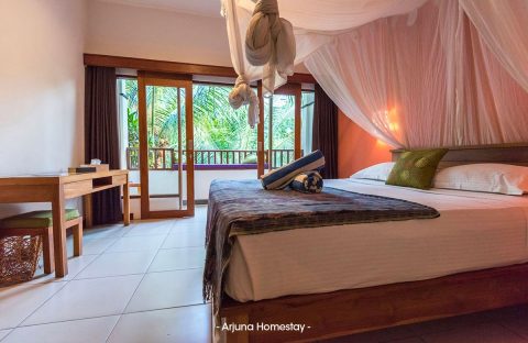 1.2_c6bo-voyage-plongee-indonesie-bali-dive-concept-hotel-arjuna-homestay-chambre-double