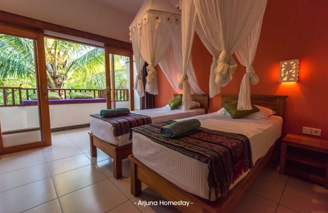 1.3_c6bo-voyage-plongee-indonesie-bali-dive-concept-hotel-arjuna-homestay-chambre-twin