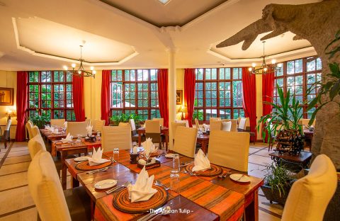 1.4_c6bo-voyage-plongee-tanzanie-extension-sejour-safari-animalier-reserves-the-african-tulip-hotel-restaurant