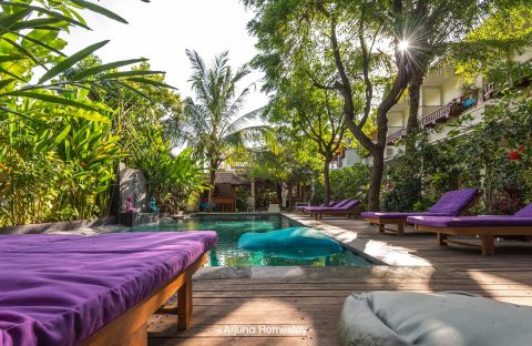1.5_c6bo-voyage-plongee-indonesie-bali-dive-concept-hotel-arjuna-homestay-piscine