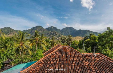 1.7_c6bo-voyage-plongee-indonesie-bali-dive-concept-hotel-arjuna-homestay-vue-paysage-Bali
