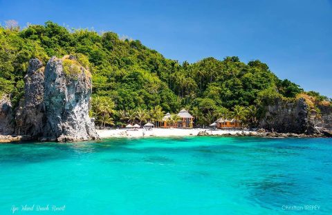 1_Abyssworld-Philippines-Safari-Visayas-TREPEY-Christian-resort-seaview