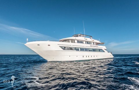 1_c6bo-voyage-plongee-egypte-croisiere-sea-base-bateau-new-regency-exterieur