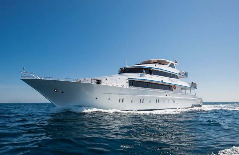 1_c6bo-voyage-plongee-egypte-croisiere-seafari-bateau-dolce-vita-exterieur