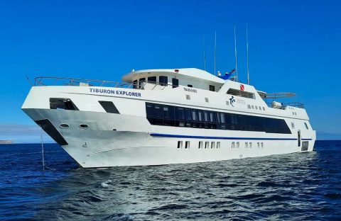 1_c6bo-voyage-plongee-equateur-galapagos-islands-explorer-ventures-croisiere-tiburon-explorer-boat-exterieur