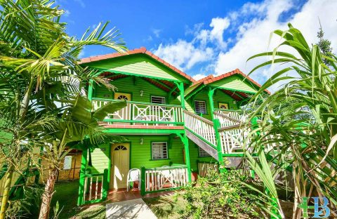 1_c6bo-voyage-plongee-martinique-trois-illets-hotel-bambou-CHAMBRE-VERTE-STANDARD-A-ETAGE