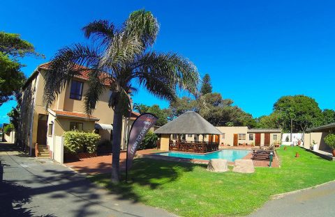 1_c6bo-voyages-plongee-afrique-sud-aliwal-shoal-agulhas-lodge