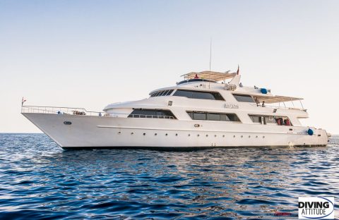 1_egypte-diving-attitude-atlantis