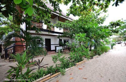 2-Hippocampus-Beach-and-dive-resort-Malapascua