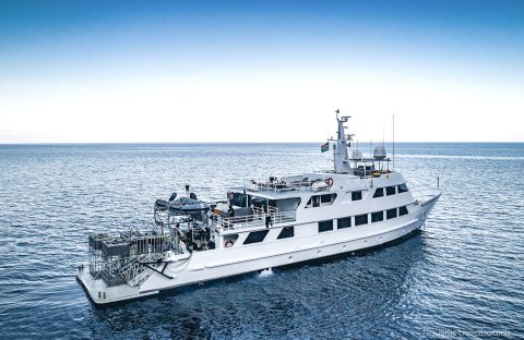 2-c6bo-voyage-plongee-mexique-croisiere-socorro-nautilus-explorer-anchored-Guadalupe