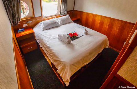 2-c6bo-voyage-plongee-papouasie-nouvelle-guinee-walindi-plantation-resort-mv-oceania-croisiere-Queen_Cabin_@Grant_Thomas