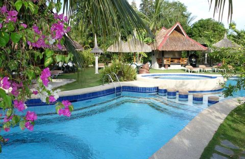 2-plongee-philippines-cebu-dolphin-house-resort-spa-piscine