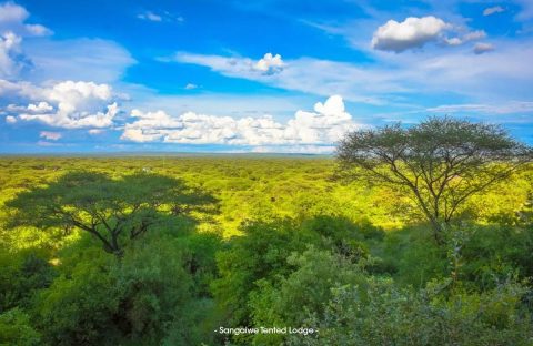 2.1_c6bo-voyage-plongee-tanzanie-extension-sejour-safari-animalier-reserves-sangaiwe-tented-lodge-view