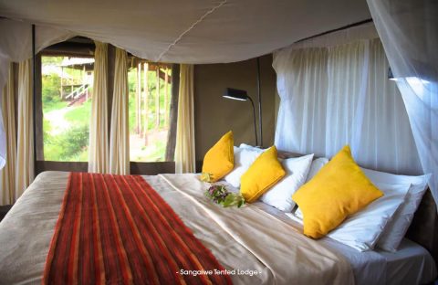 2.3_c6bo-voyage-plongee-tanzanie-extension-sejour-safari-animalier-reserves-sangaiwe-tented-lodge-chambre-double-standard