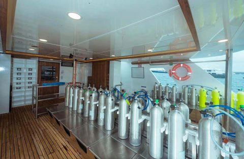 2_c6bo-voyage-plongee-equateur-galapagos-islands-explorer-ventures-croisiere-tiburon-explorer-boat-plateforme-equipement-bouteilles