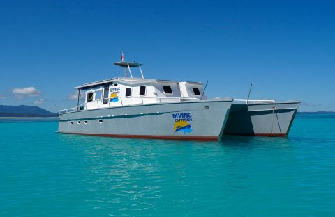 2_c6bo-voyage-plongee-madagascar-croisiere-archipel-radames-iles-mitsio-bateau-diving-cattitude-1