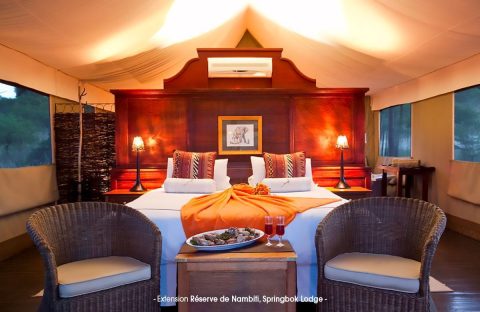 2_c6bo-voyages-plongee-afrique-sud-reserve-Nambiti-Springbok-Lodge-tente-standard