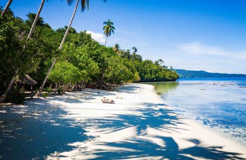 2_c6bo-voyages-plongee-indonesie-raja-ampat-biodiversity-resort-beach-sunbeds