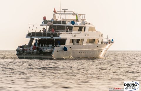 2_egypte-diving-attitude-atlantis