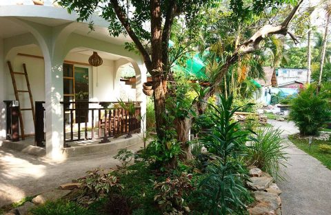 3-C6Bo-plongee-philippines-puerto-galera-resort-jardin-bungalow-10