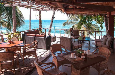 3-plongee-philippines-bohol-oasis-resort-terrasse-restaurant-bar