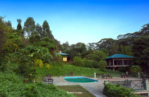 3.1_c6bo-voyage-plongee-tanzanie-extension-sejour-safari-animalier-reserves-endoro-lodge-swimming-pool