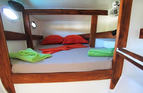 3.2_c6bo-voyage-plongee-madagascar-croisiere-archipel-radames-iles-mitsio-bateau-diving-cattitude-3