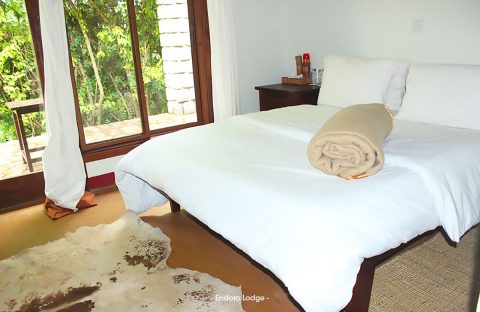 3.2_c6bo-voyage-plongee-tanzanie-extension-sejour-safari-animalier-reserves-endoro-lodge-Standard-rooms
