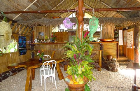 3.3_c6bo-voyage-plongee-polynesie-plongee-archipel-societe-Huahine-Pension-Tupuna-accueil