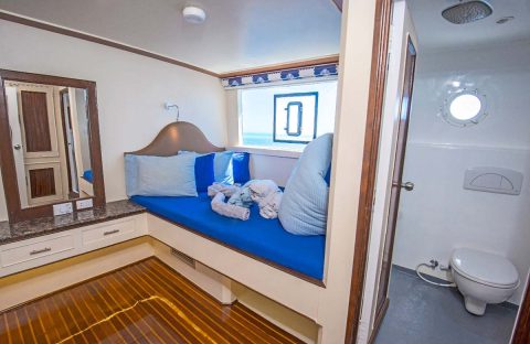 3_c6bo-voyage-plongee-egypte-croisiere-seafari-bateau-dolce-vita-cabine-double-fenetre