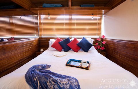3_c6bo-voyage-plongee-equateur-galapagos-aggressor-3-yacht-cabine-double