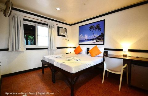 4-Hippocampus-Beach-and-dive-resort-Malapascua-Superior-Room-Media