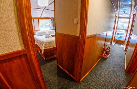 4-c6bo-voyage-plongee-papouasie-nouvelle-guinee-walindi-plantation-resort-mv-oceania-croisiere_Grant_Thomas_Double_Entry