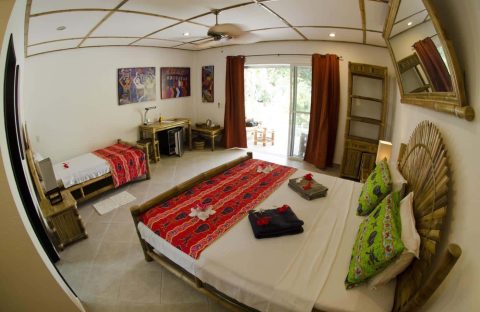 4-plongee-philippines-cebu-dolphin-house-resort-spa-chambre-double