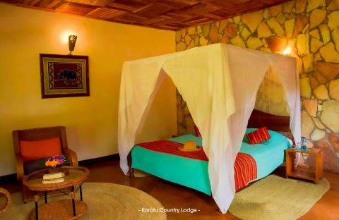 4.2_c6bo-voyage-plongee-tanzanie-extension-sejour-safari-animalier-reserves-Karatu-Country-Lodge-Standard-room