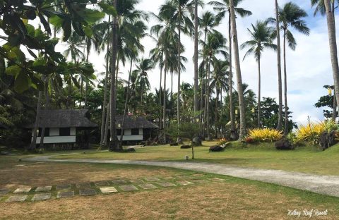 4.2_c6bo-voyages-plongee-safari-magellan-abyssworld-Kuting-Reef-Resort-bungalows-garden