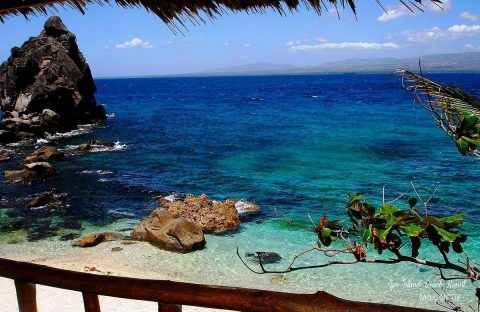 4_Abyssworld-Philippines-Safari-Visayas-Apo-Kan-Upi-Cove-Beach-Resort-NOTTE-Marc-seaview