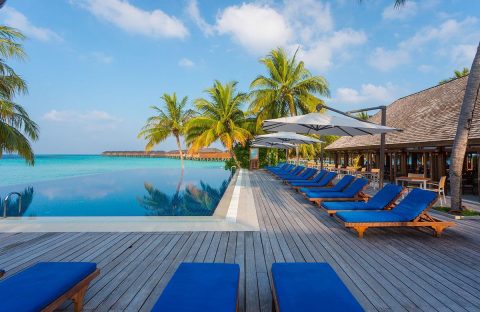 4_C6Bo-Voyages-plongee-Maldives-Ari-Atoll-Sud-Vilamendhoo-Resort-pool