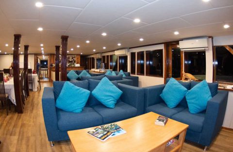 4_c6bo-voyage-plongee-maldives-croisiere-explorer-ventures-emperor-leo-salon
