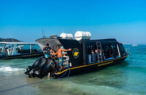4_c6bo-voyages-plongee-indonesie-bali-dive-concept-amed-sea-boat-moteurs
