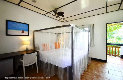 5-Hippocampus-Beach-and-dive-resort-Malapascua-deluxe-room-double