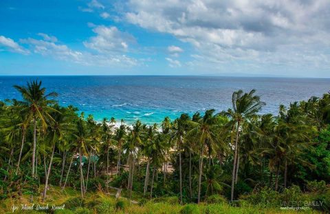 5_Abyssworld-Philippines-Safari-Visayas-Apo-Kan-Upi-Cove-Beach-Resort-BAILLY-Vincent-seaview