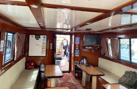 5_c6bo-voyage-plongee-egypte-sharm-el-sheikh-red-sea-diving-college-salon