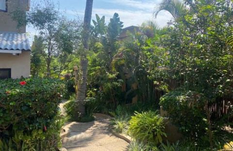 5_c6bo-voyage-plongee-mozambique-ponta-de-oro-hotel-planet-ocean-jardin