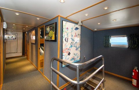 5_c6bo-voyages-Hallway-Caribbean-Explorer-2-Explorer-Ventures-Liveaboard-Diving