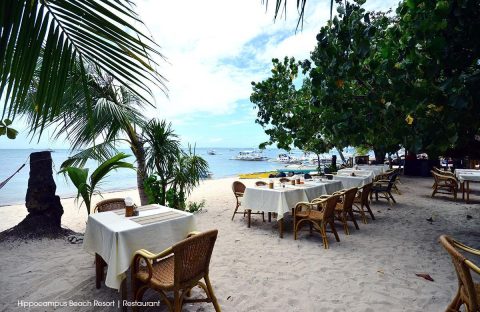 6-Hippocampus-Beach-and-dive-resort-Malapascua-dining-beach-restaurant